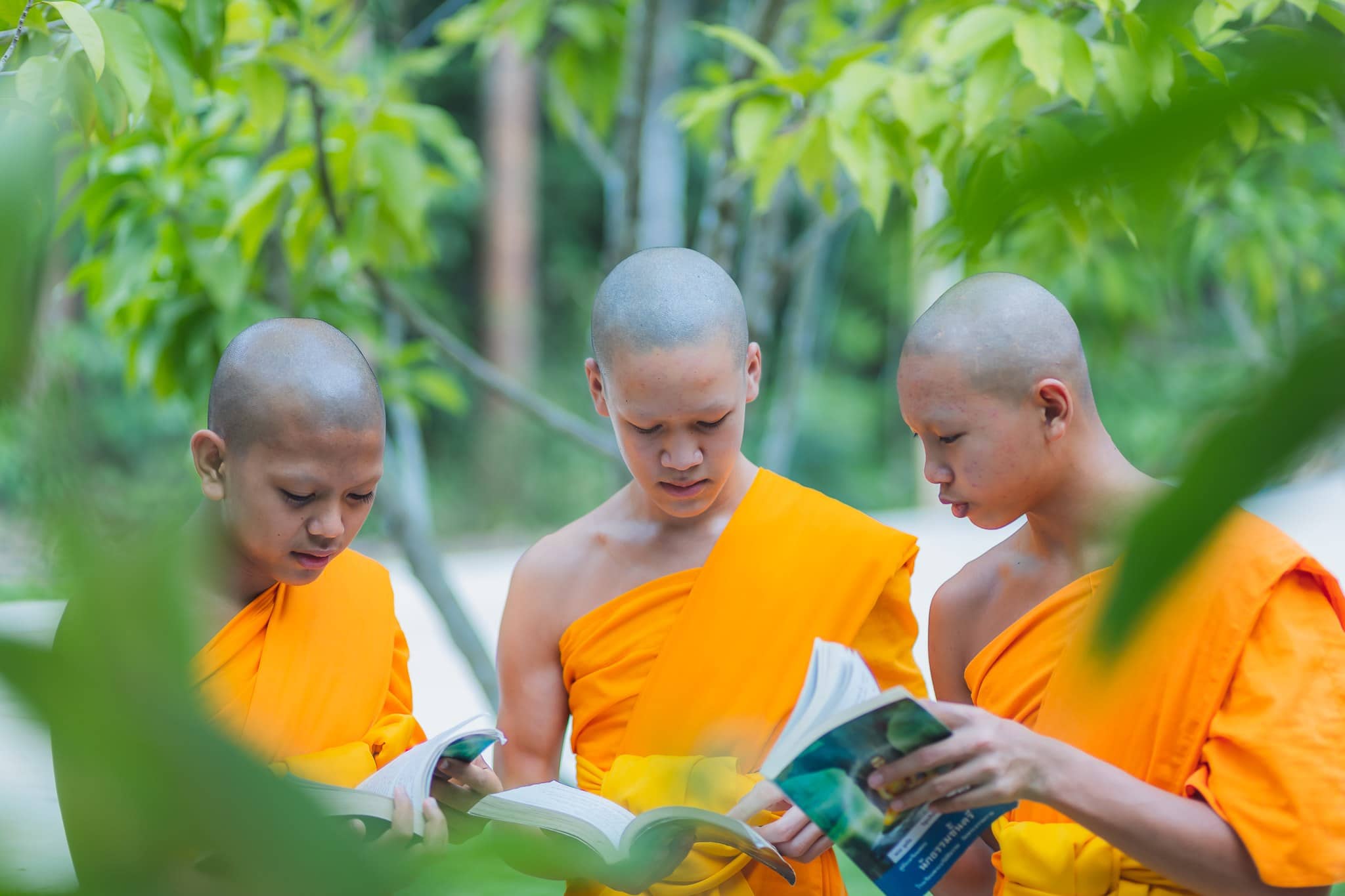 การฝึกอบรม